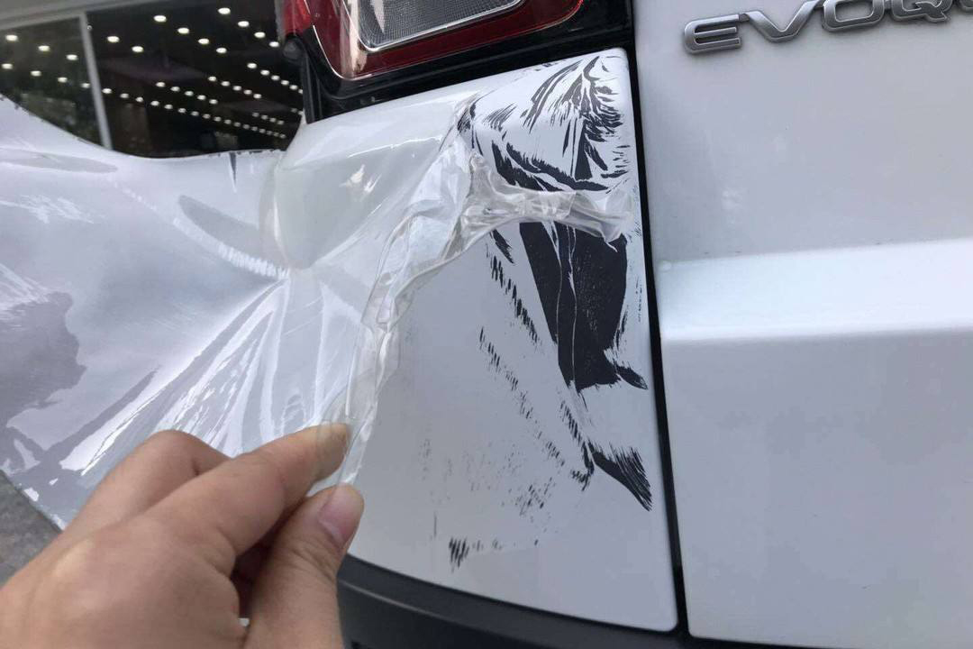 1702354136699808.jpg 微信图片_20231212120403.jpg